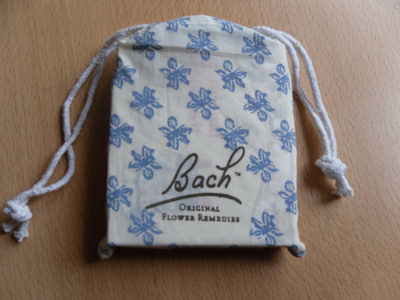 Bach Emotional Eating Kit Bag