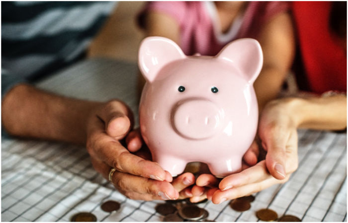Money Pig