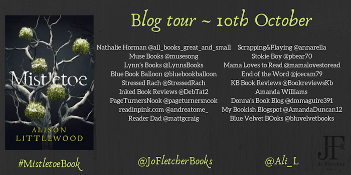 Mistletoe blog tour details