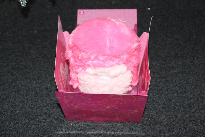 inside box