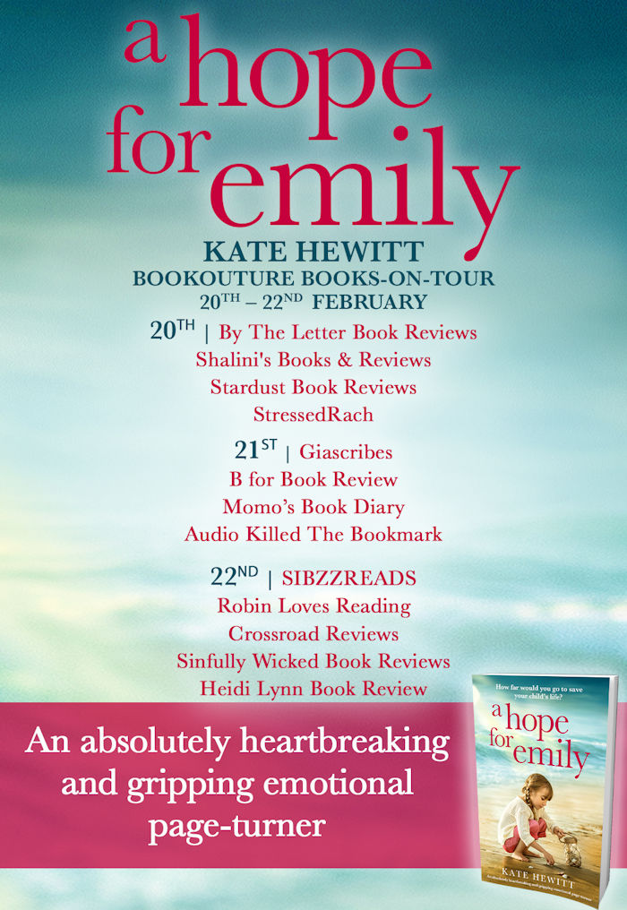 a hope for emily tour banner