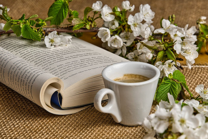 Open Book, cup of coffee and white blossom flowers around the book and cup