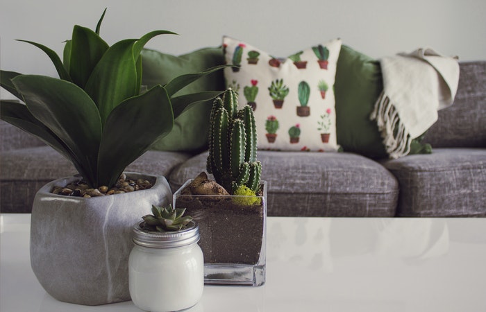 Brighten up your home theme