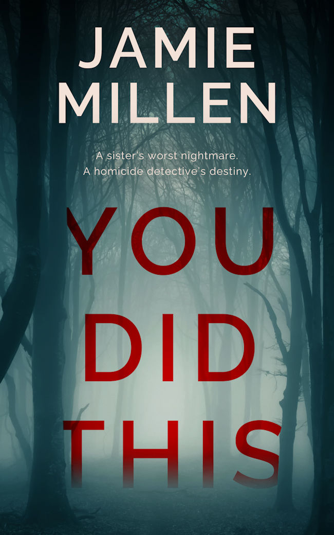 You Did This by Jamie Millen Book cover